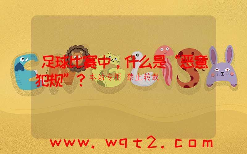 足球比赛中，什么是“恶意犯规”？